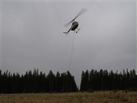 R44 vertically up to move a load. May 2011